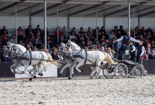 Museumplein_Polo_Amsterdam_27